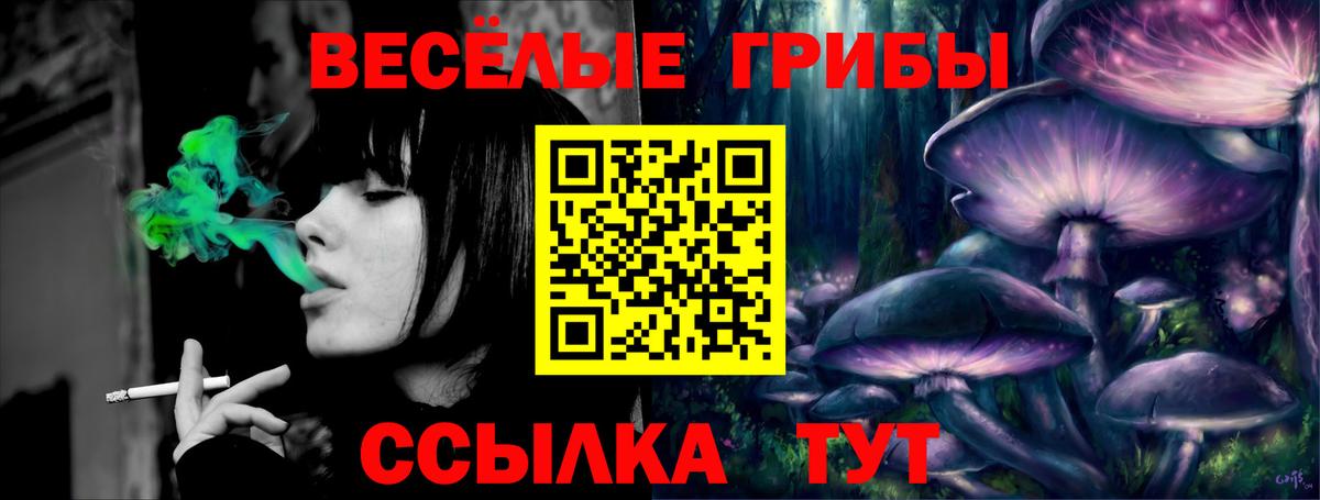 Дмитров  Псилоцибиновые грибы Psilocybe  Вход с VPN 